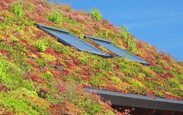 St Anthony In Meneage living roof systems