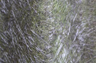 St Anthony In Meneage fibreglass roof work